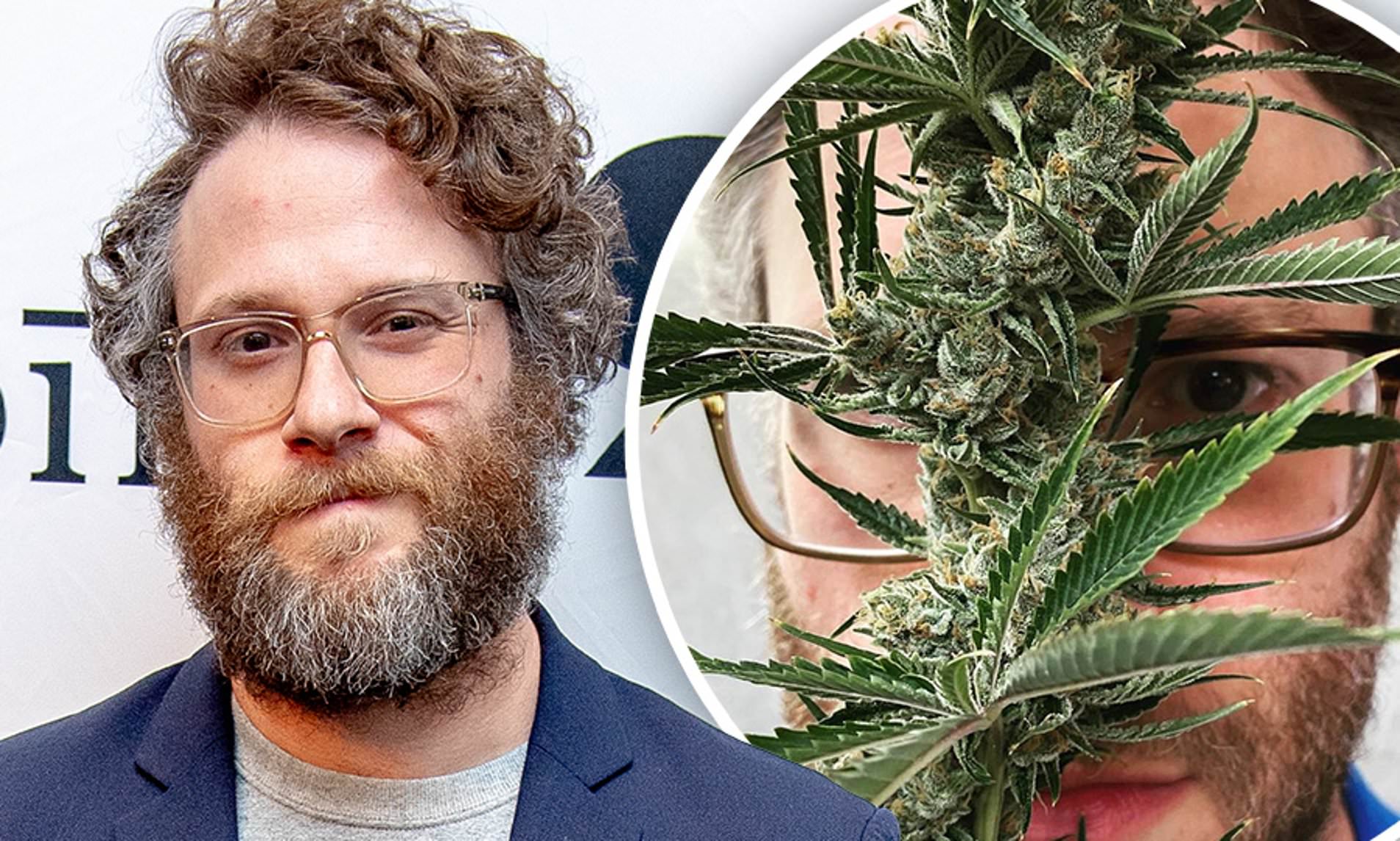 Set Rogan Weed TOP 5 Celebrity Views on Cannabis: From Advocacy to Personal Preference ...