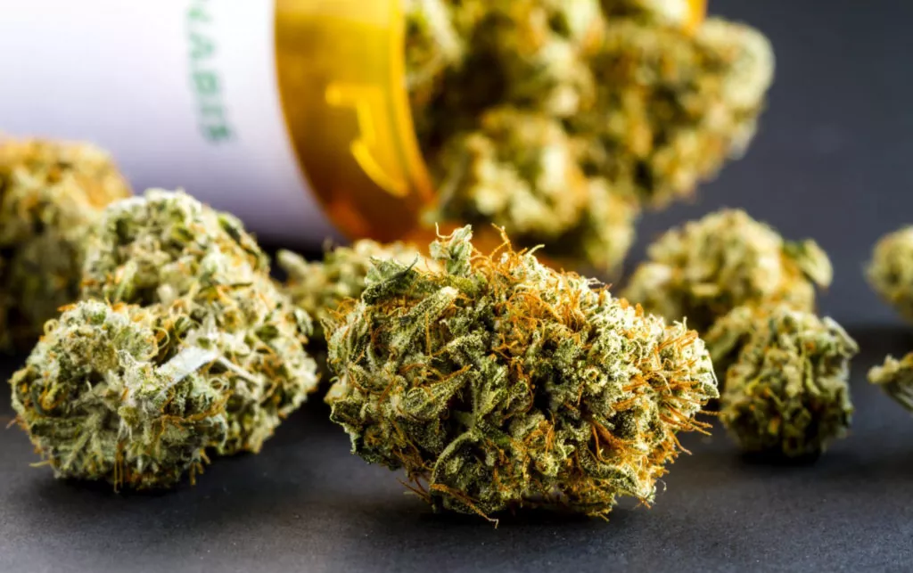 medical marijuana marketing 1024x643 1 | News