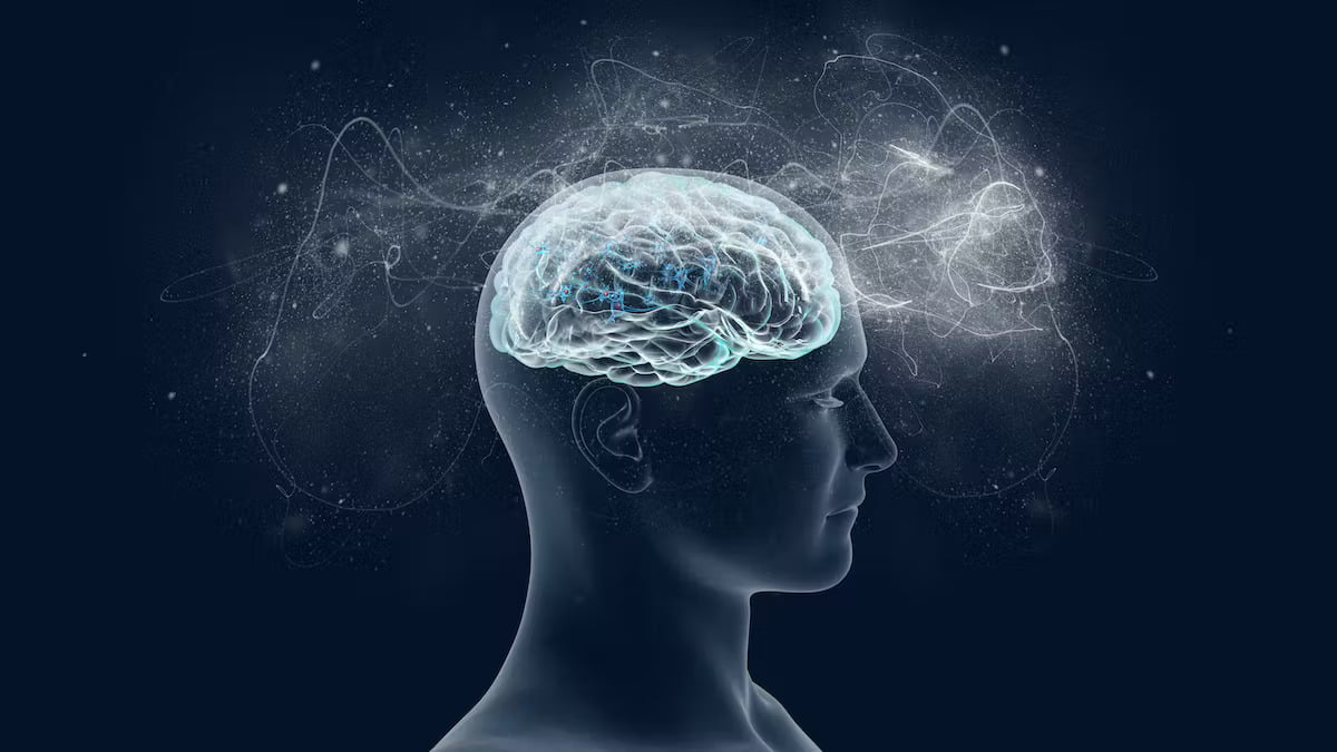 consciousness quantum physics | News