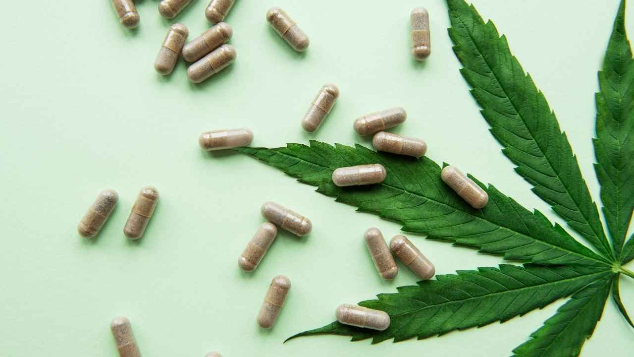 CBD Capsules 2 | News