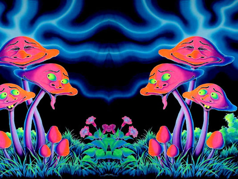 psychedelic mushroom | News